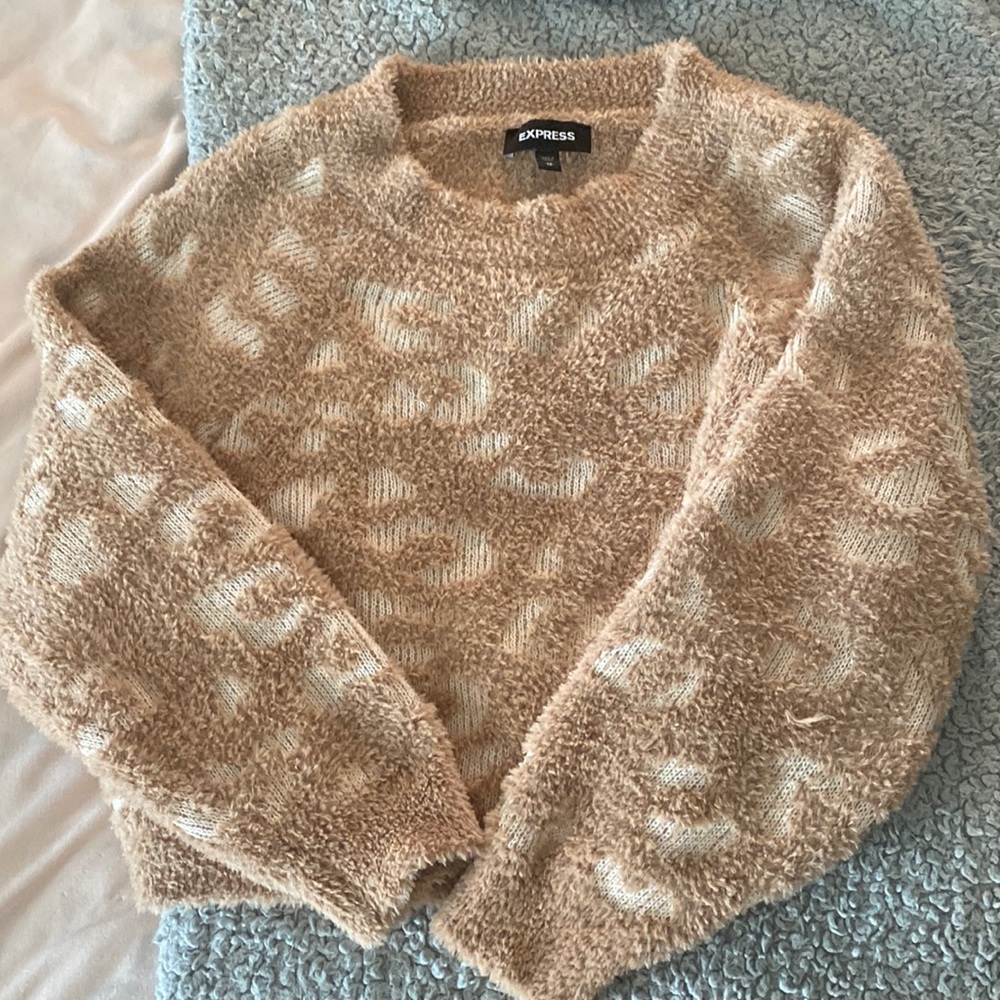 Express soft cheetah print sweater